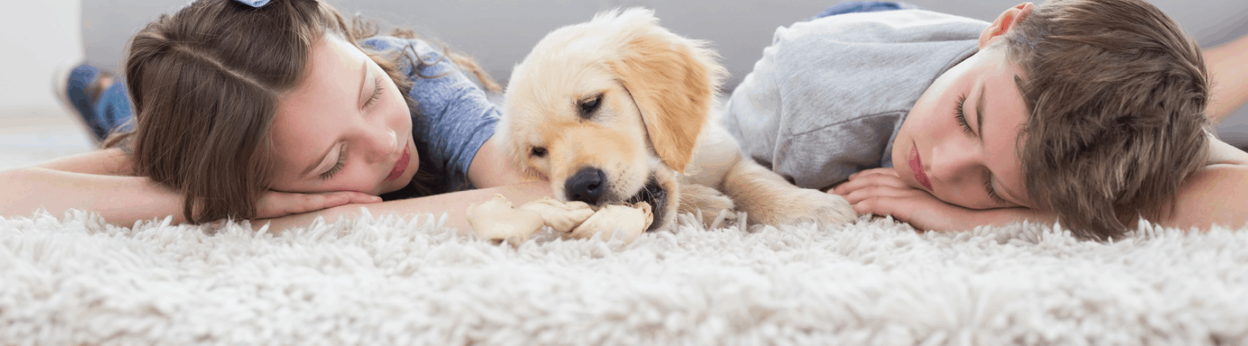 Carpet Cleaners Sacramento, Citrus Heights Upholstery & Tile Cleaning