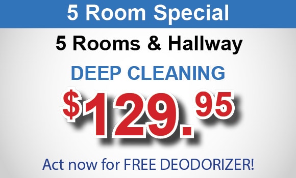 5 room carpet cleaning special