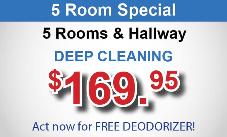 5 room carpet cleaning special
