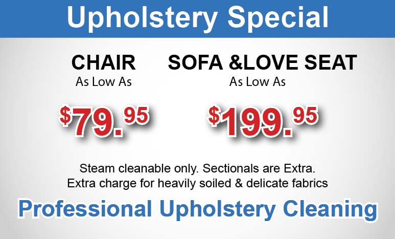 upholstery chair and sofa loveseat special