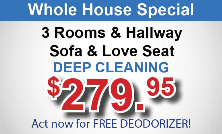 whole house carpet cleaning coupon