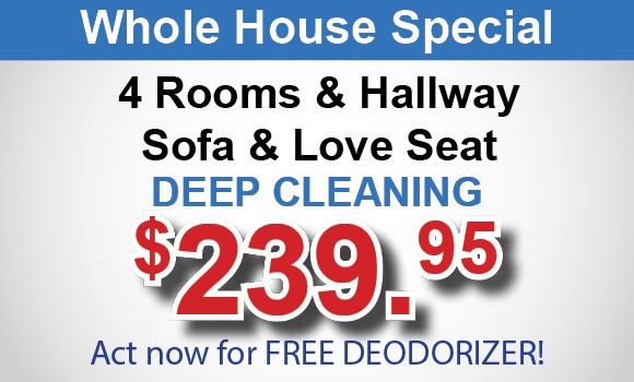whole house carpet cleaning special